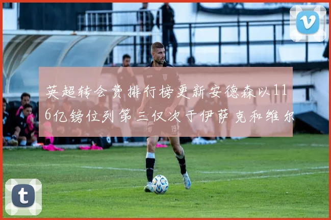 英超转会费排行榜更新安德森以116亿镑位列第三仅次于伊萨克和维尔茨