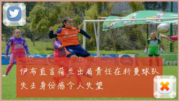 伊布直言荷兰出局责任在科曼球队失去身份感令人失望